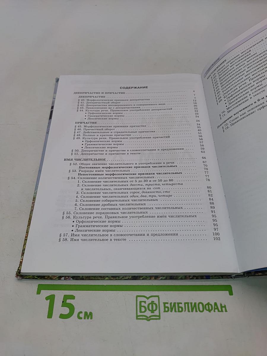 Русский язык. Учебник. 6 класс. Часть 2