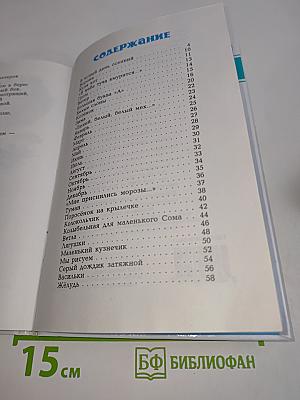 Лёвушка на солнышке