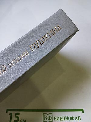 Последний год жизни Пушкина