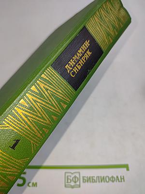 Собрание сочинений. Том первый. Приваловские миллионы. Рассказы