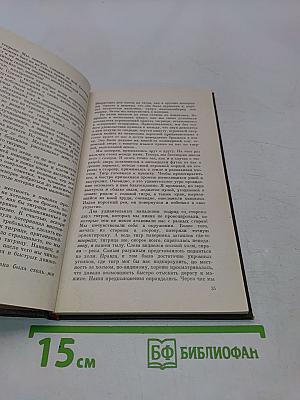 Тигр Раджастхана