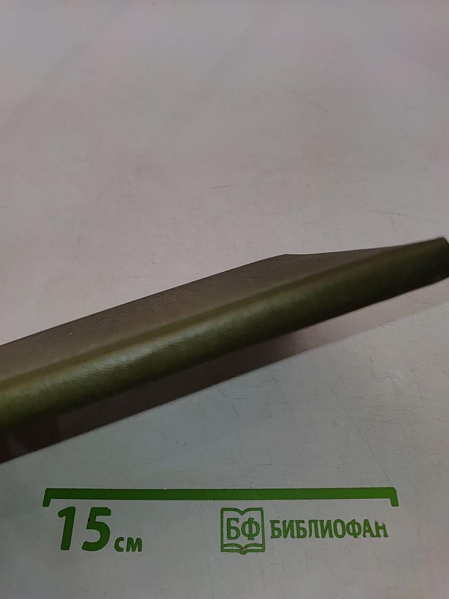 Тигр Раджастхана