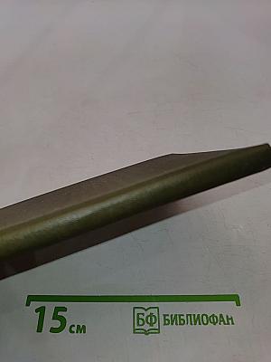 Тигр Раджастхана