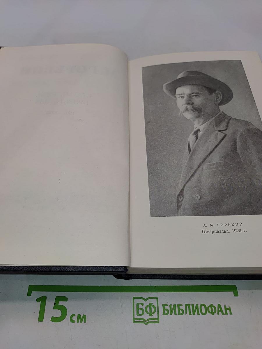 Собрание сочинений в тридцати томах. Том 24. Статьи, речи, приветствия 1907-1928