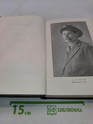 Собрание сочинений в тридцати томах. Том 24. Статьи, речи, приветствия 1907-1928