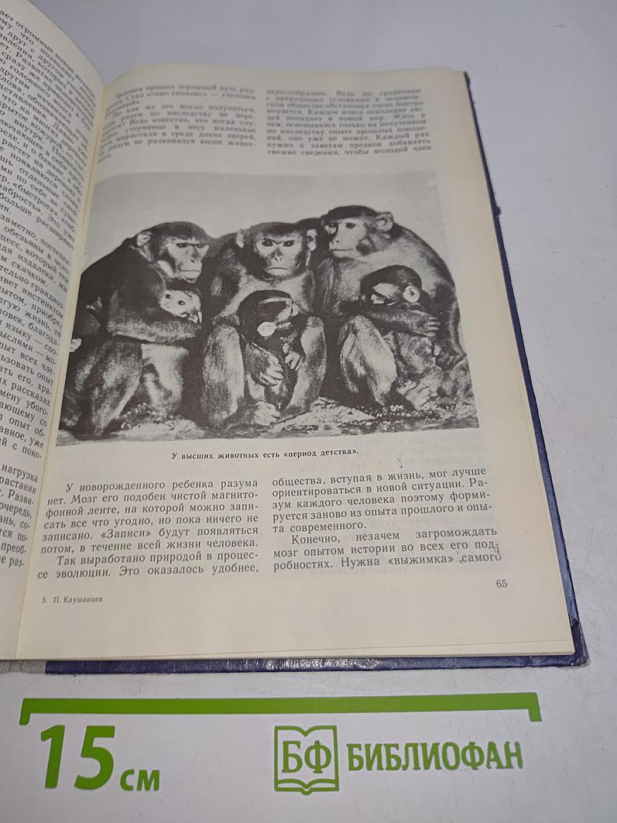 Одиноки ли мы во Вселенной?