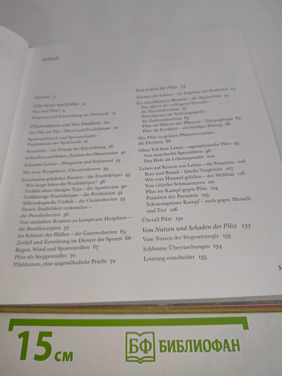 Die Welt der Pilze