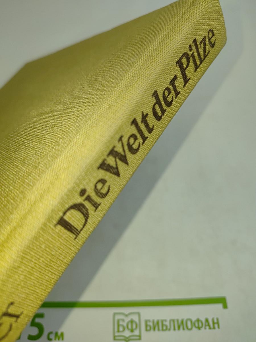 Die Welt der Pilze