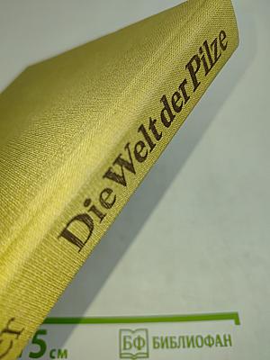 Die Welt der Pilze