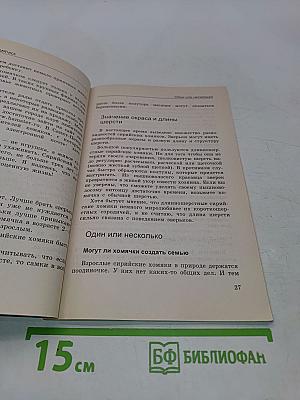 Хомяки и хомячки с Ольгой Ягодик