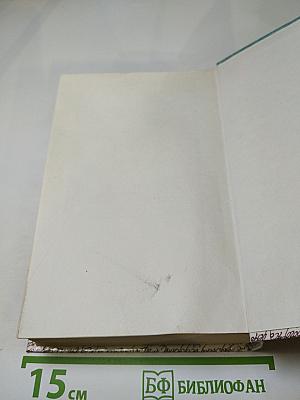 За чьи грехи? Великий раскол