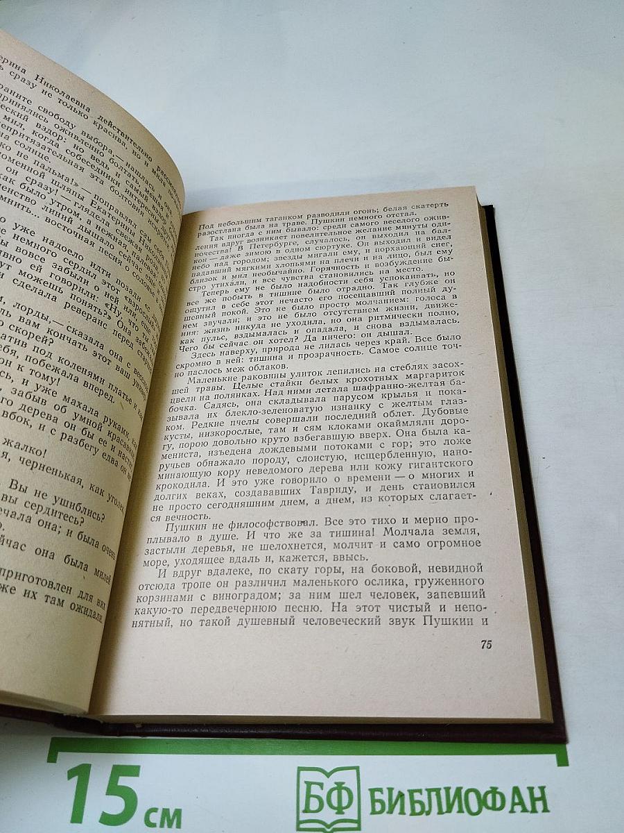 Пушкин на Юге