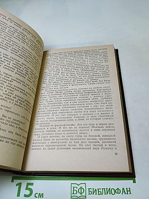 Пушкин на Юге