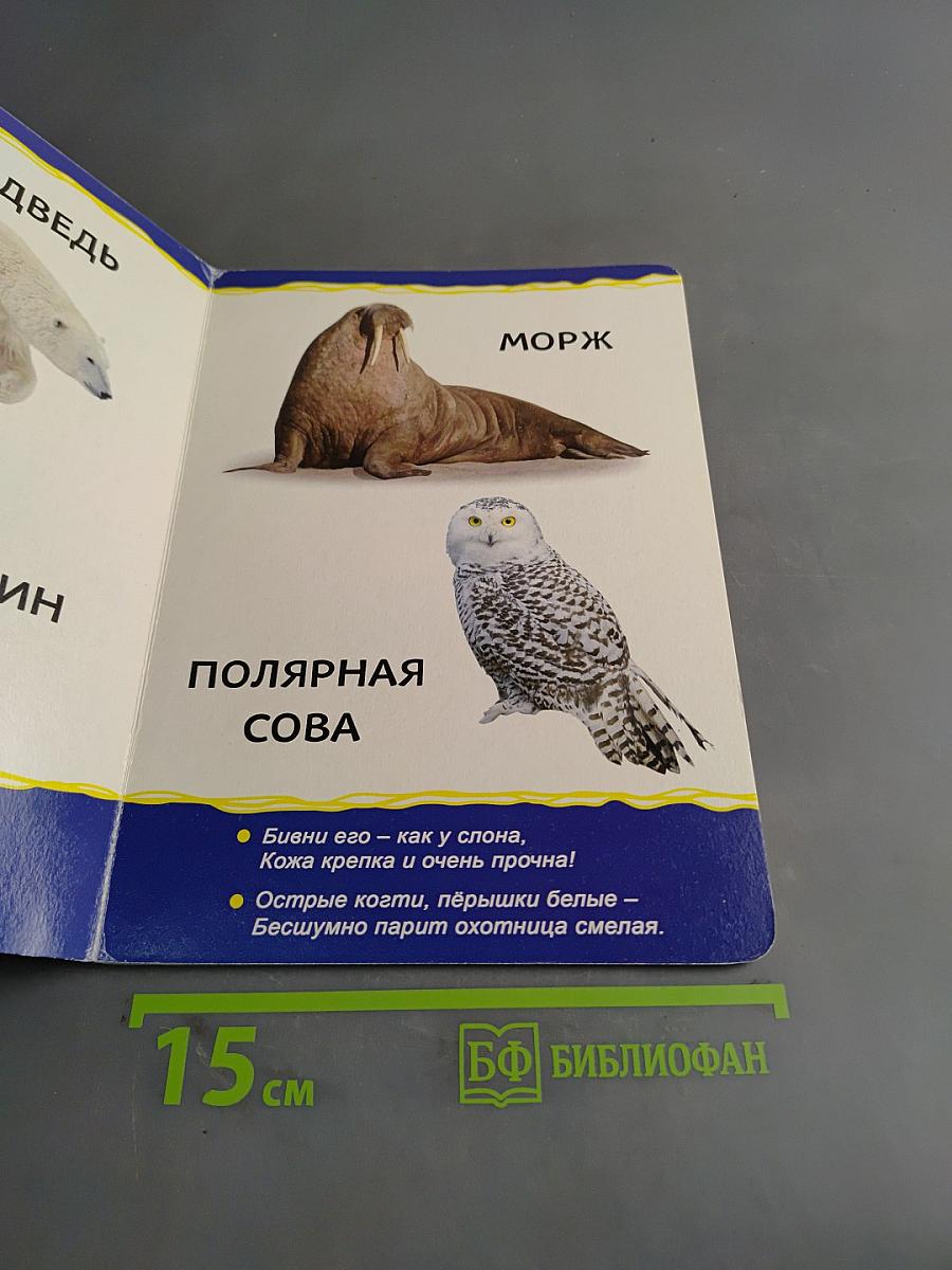 Животные зоопарка