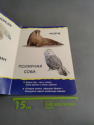 Животные зоопарка