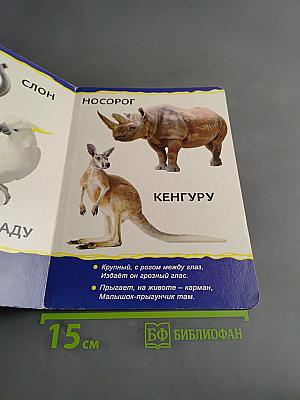 Животные зоопарка