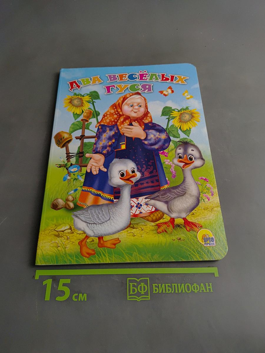 Два весёлых гуся