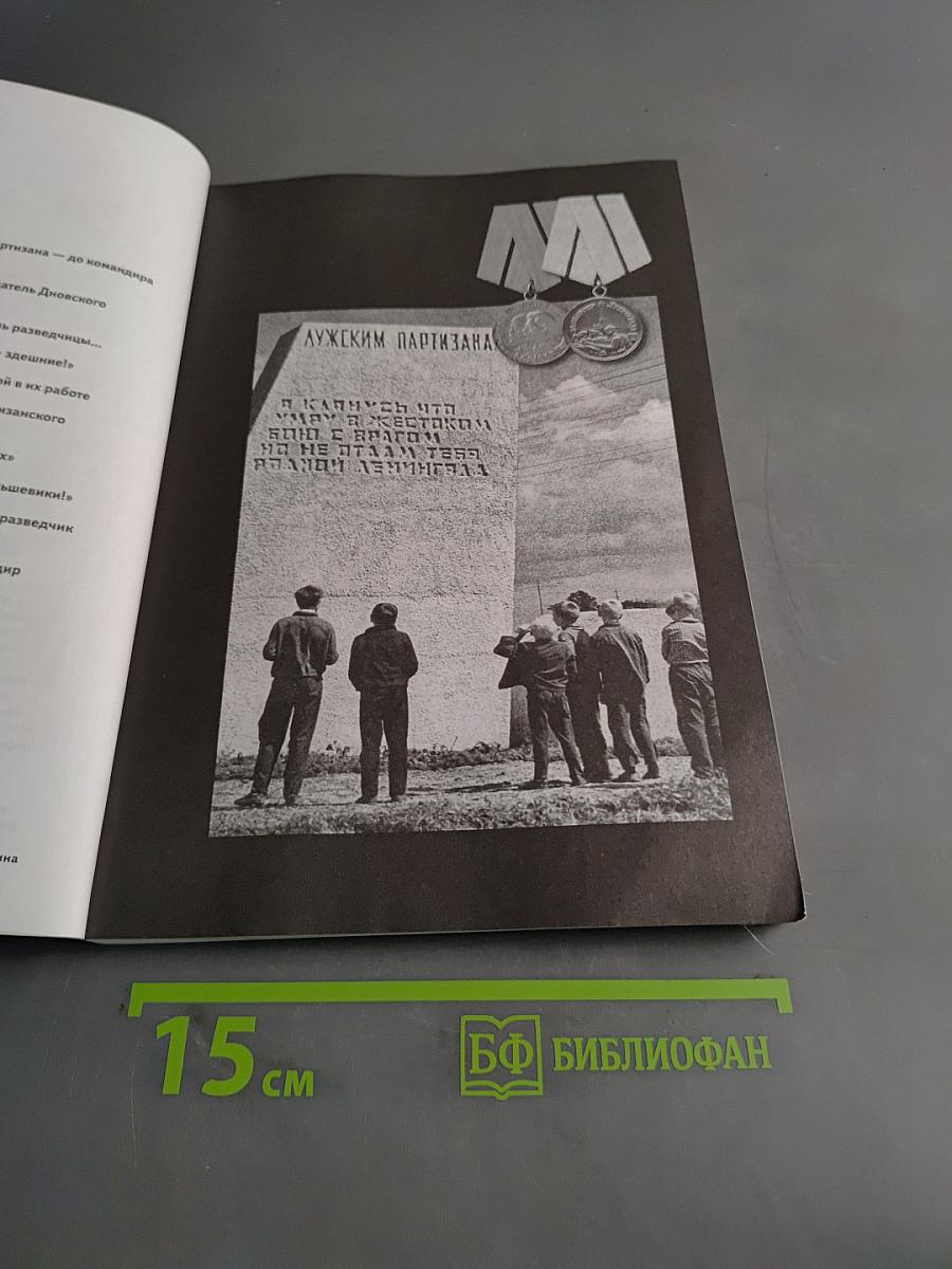 Народные мстительницы и мстители