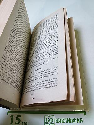 Одеты камнем. Радищев