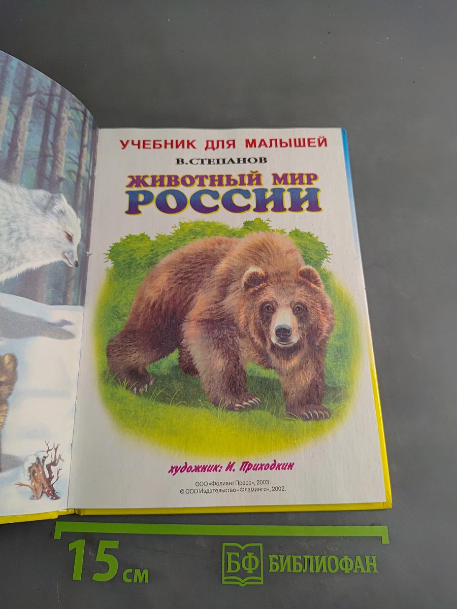 Учебник для малышей. Животный мир России