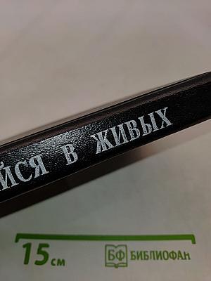 Оставшийся в живых