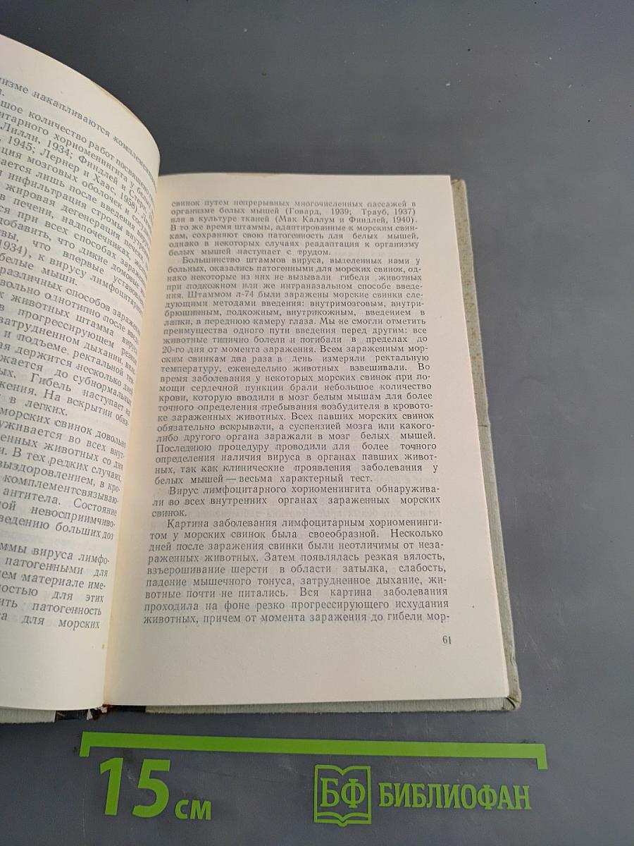 Лимфоцитарный хориоменингит