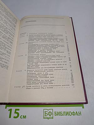 Нестационарный кровоток у человека в искусственных условиях