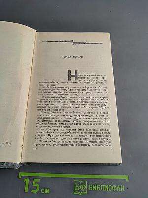 Соленая Падь