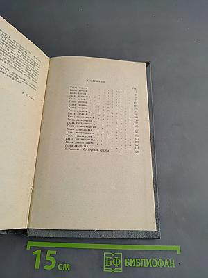 Соленая Падь