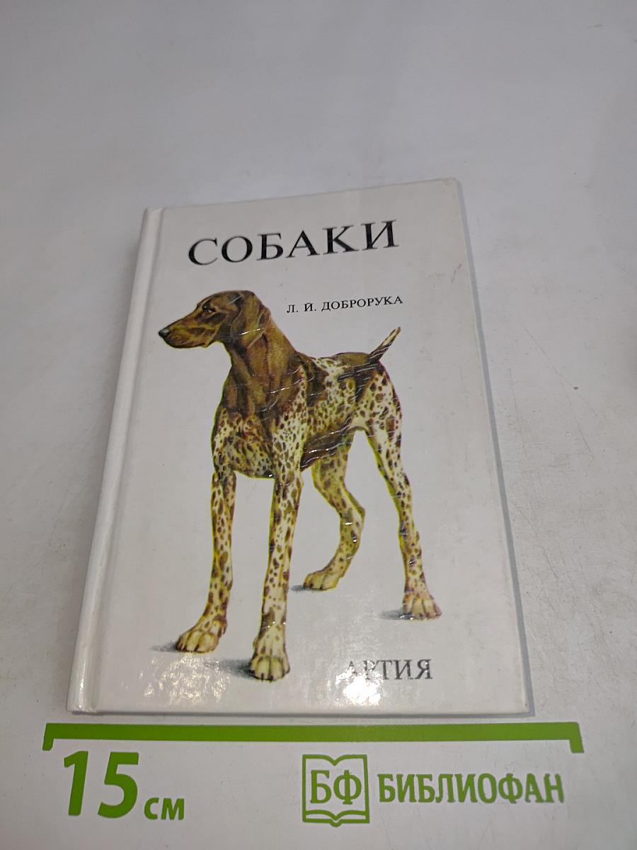 Собаки