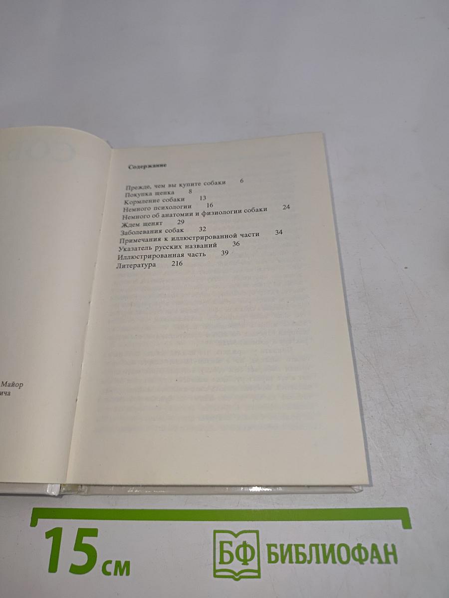 Собаки
