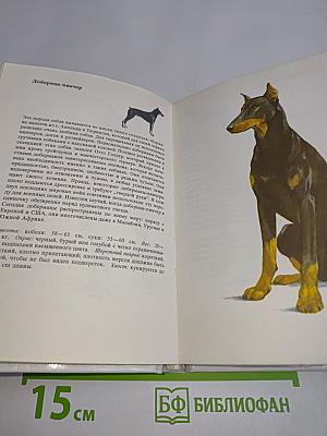 Собаки