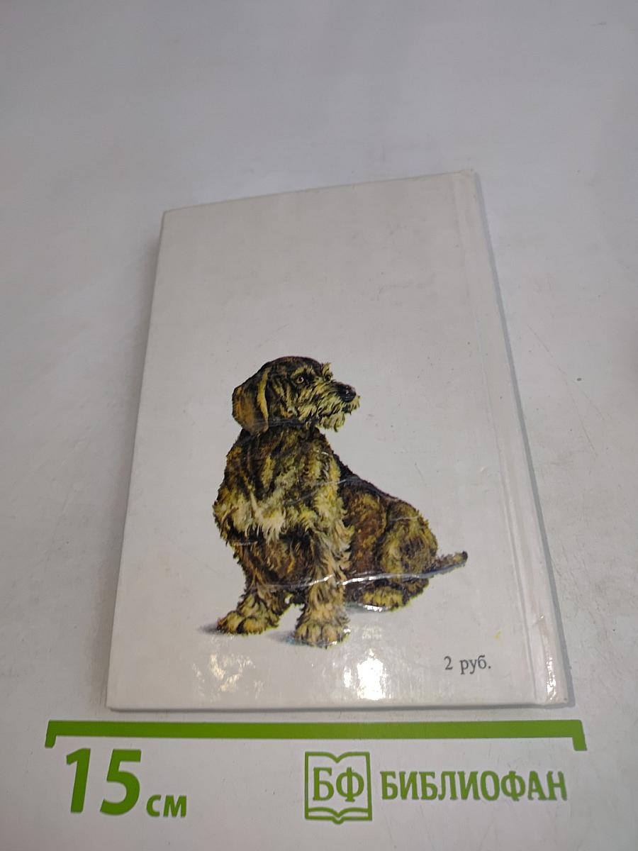 Собаки
