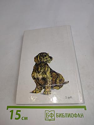 Собаки