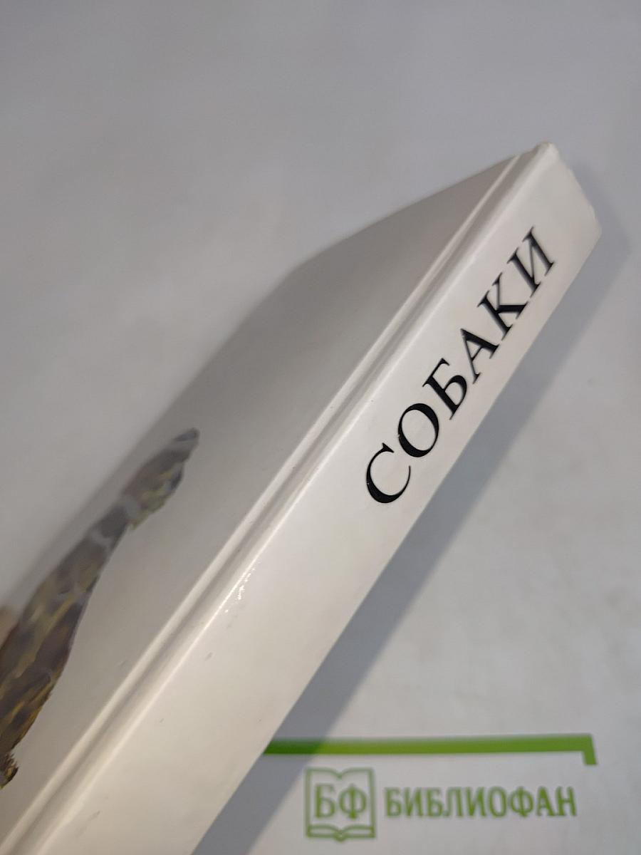 Собаки
