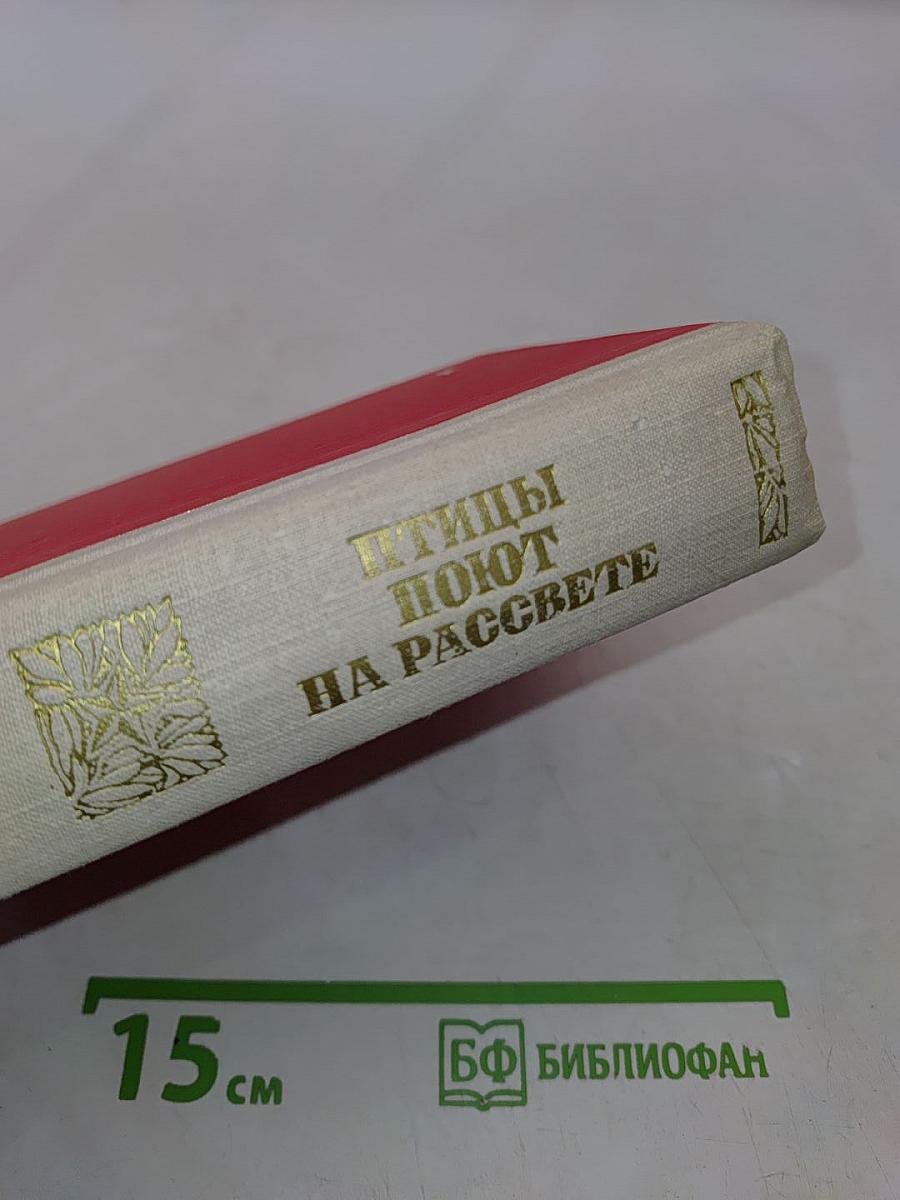 Птицы поют на рассвете