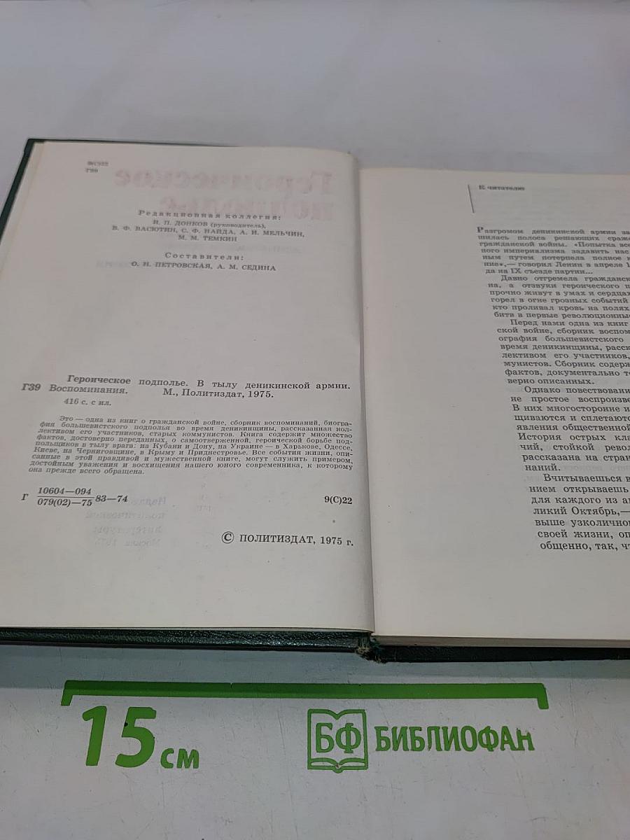 Героическое подполье. В тылу Деникинской армии. Воспоминания