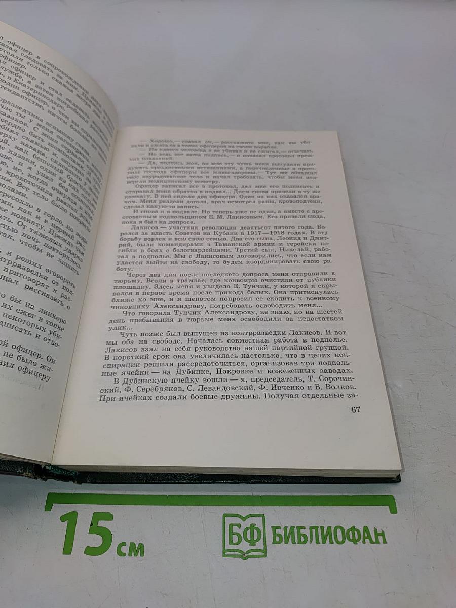 Героическое подполье. В тылу Деникинской армии. Воспоминания
