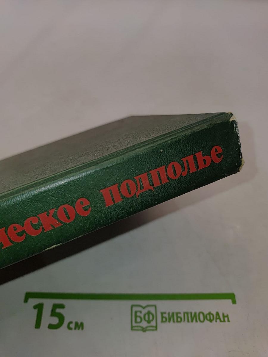 Героическое подполье. В тылу Деникинской армии. Воспоминания