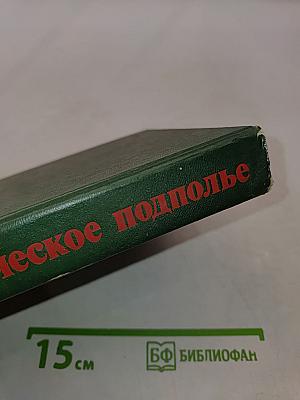 Героическое подполье. В тылу Деникинской армии. Воспоминания