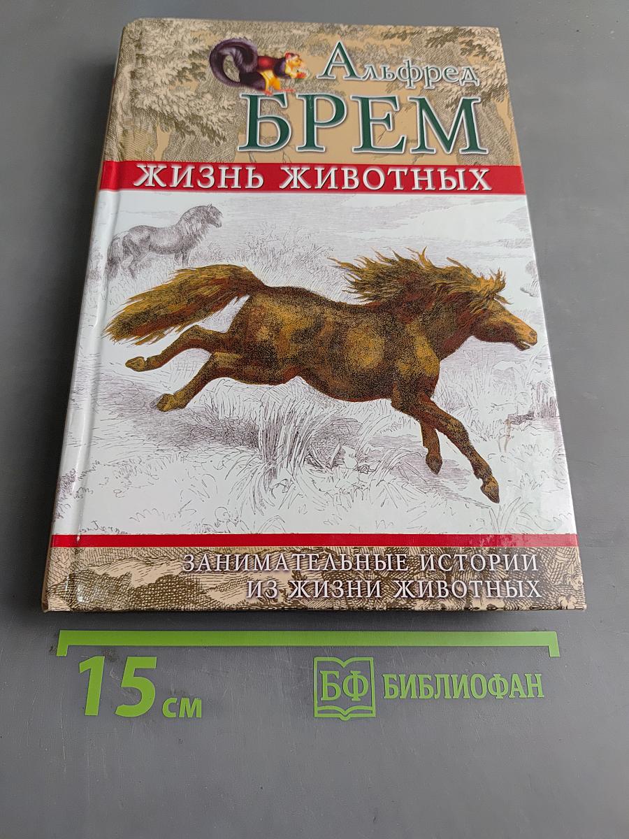 Жизнь животных. Занимательные истории из жизни животных