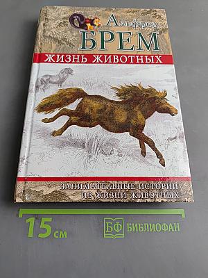 Жизнь животных. Занимательные истории из жизни животных