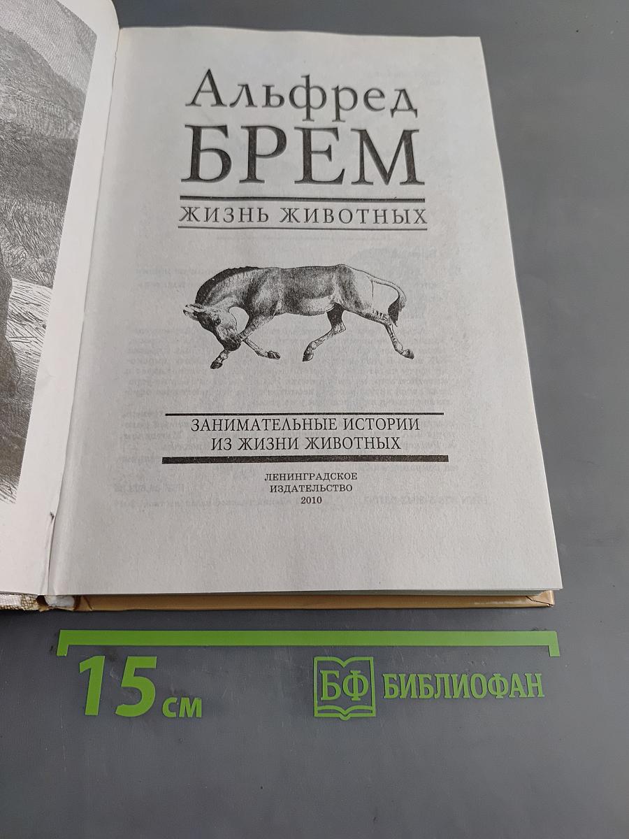 Жизнь животных. Занимательные истории из жизни животных