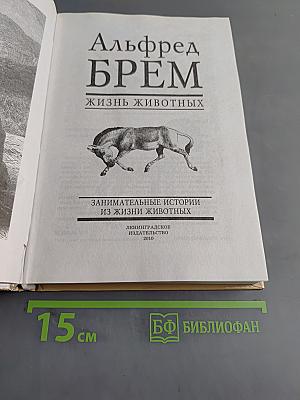Жизнь животных. Занимательные истории из жизни животных