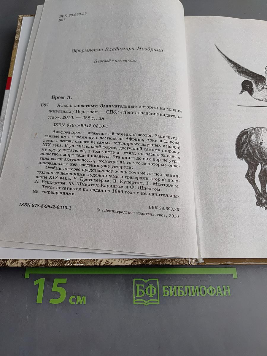 Жизнь животных. Занимательные истории из жизни животных