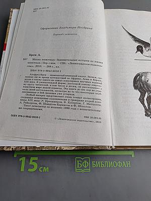 Жизнь животных. Занимательные истории из жизни животных
