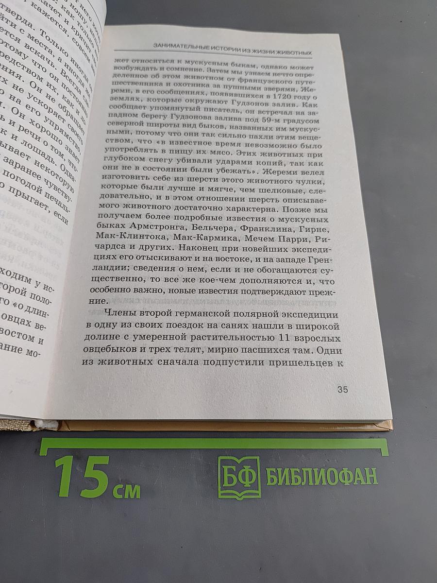 Жизнь животных. Занимательные истории из жизни животных