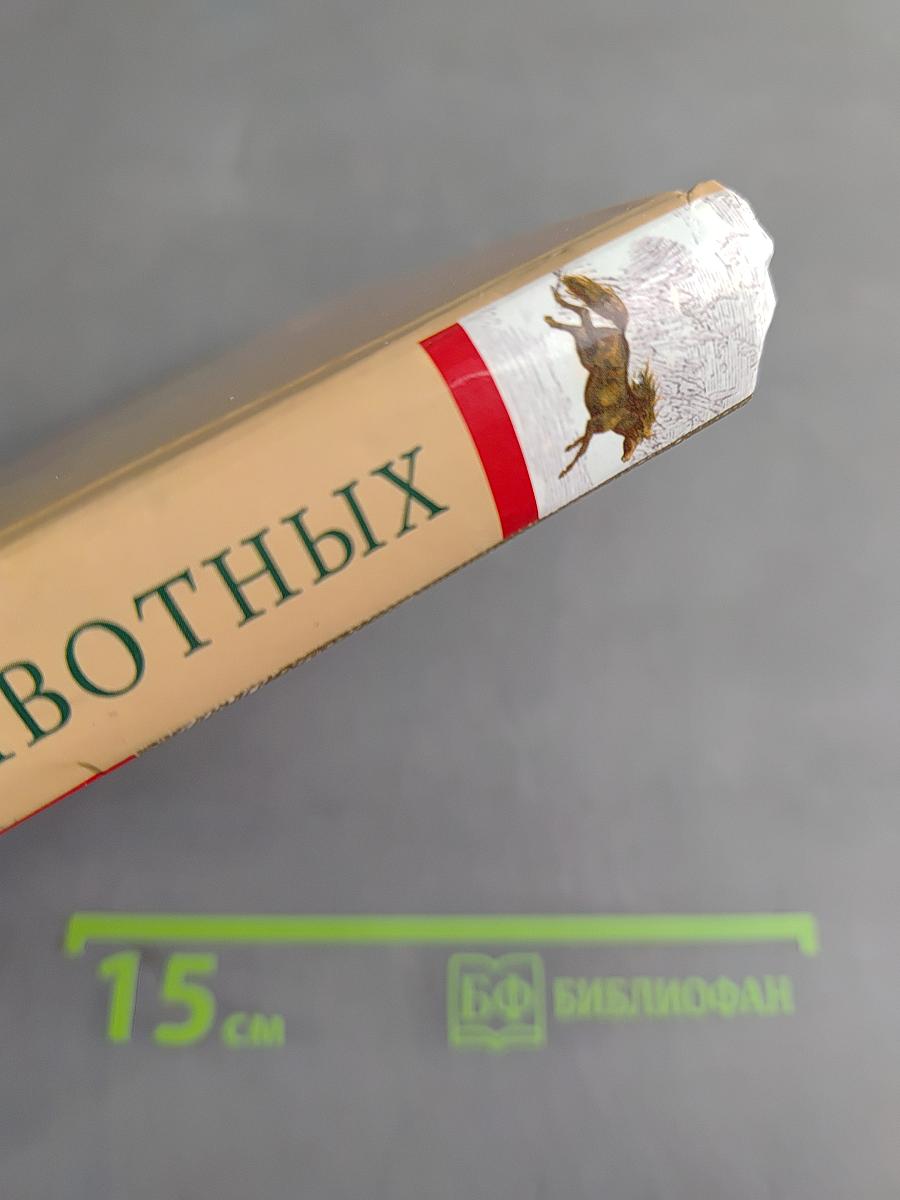 Жизнь животных. Занимательные истории из жизни животных