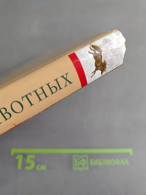 Жизнь животных. Занимательные истории из жизни животных