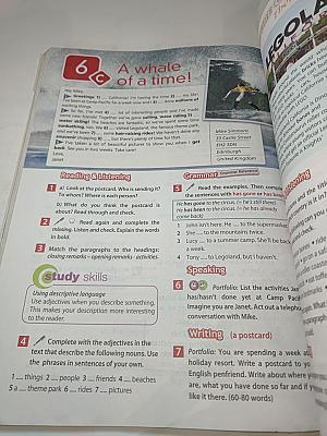 Английский язык. 7 класс. Учебник. Spotlight. Student's Book